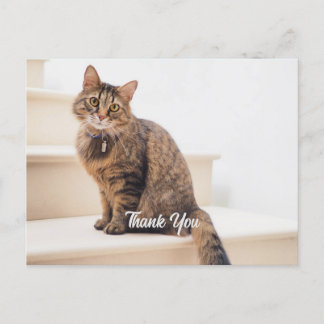 Postal Postal, Tamaño: Postcard Estándar, Papel: Semi-Gl