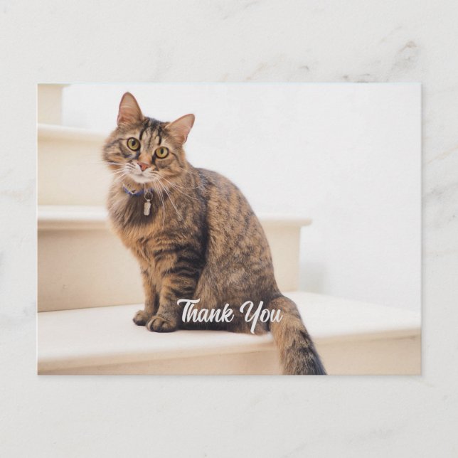 Postal Postal, Tamaño: Postcard Estándar, Papel: Semi-Gl (Anverso)