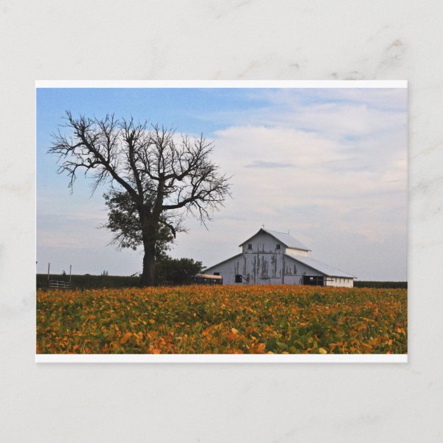 Postal Postal, viejo granero (Anverso)