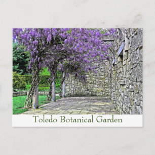 POSTAL POSTAL, "WISTERIA AND STONE WALL IN GARDEN"