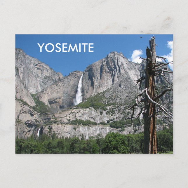 Postal ¡Postal Yosemite! (Anverso)