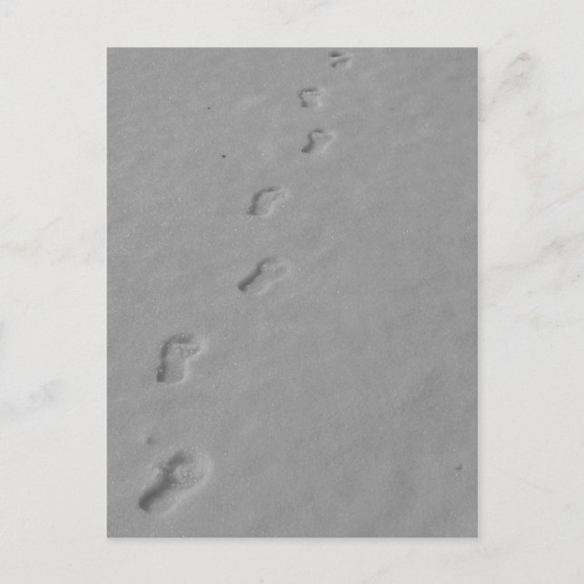 Postal ¡Postales de invierno! (Anverso)