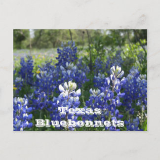 Postal ¡Postales de Texas!