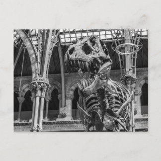 Postal "Postales del esqueleto de T-Rex"