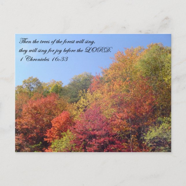 Postal Postales: Los árboles cantan (Anverso)