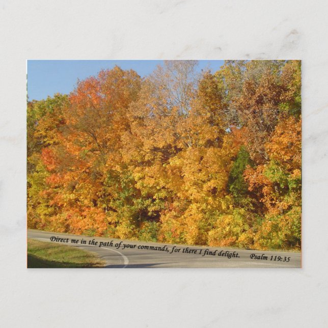 Postal Postales: Ruta a la luz (Anverso)