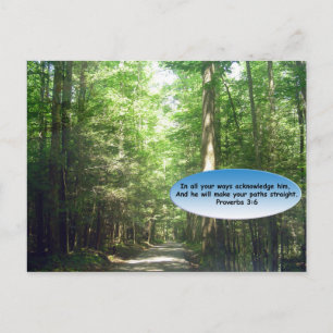 Postal Postales: Ruta en el bosque