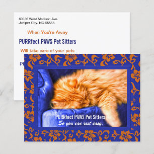 Postal Postca publicitaria del Personalizado Kouch Kitty 