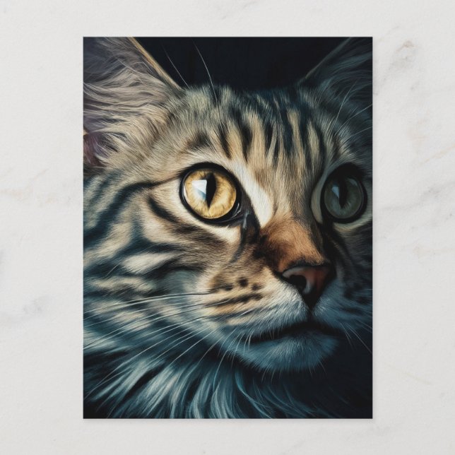 Postal Postcard (Anverso)