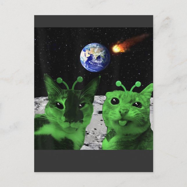 Postal Postcard (Anverso)