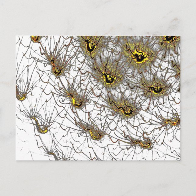 Postal Postcard (Anverso)