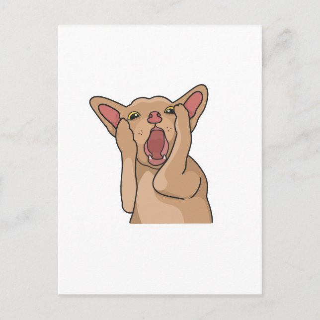 Postal Postcard (Anverso)