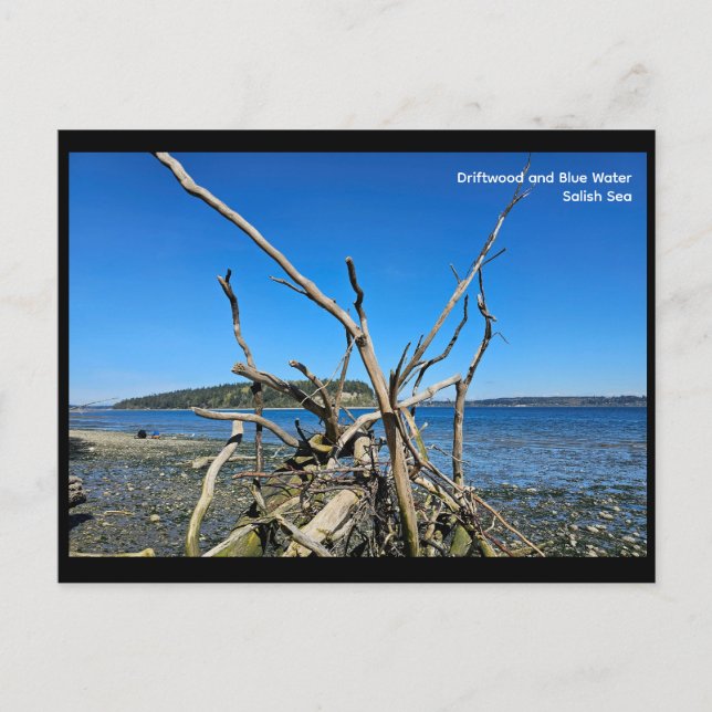 Postal Postcard (Anverso)