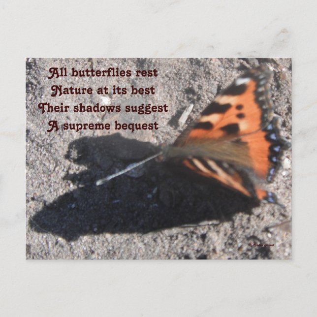 Postal Postcard All Butterflies Rest Poema De Ladee Basse (Anverso)