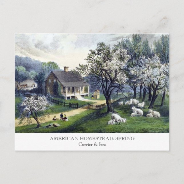 Postal Postcard - AMERICANO HOMESTEAD: Primavera (Anverso)