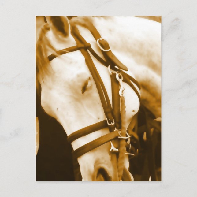 Postal Postcard andaluz (Anverso)