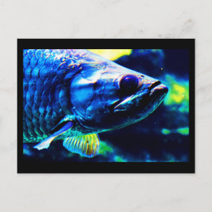 Postal Postcard-Animals-19