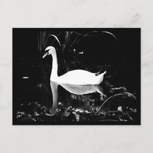 Postal Postcard-Animals-23