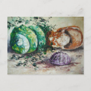 Postal Postcard Ann Hayes pintando conchas marinas