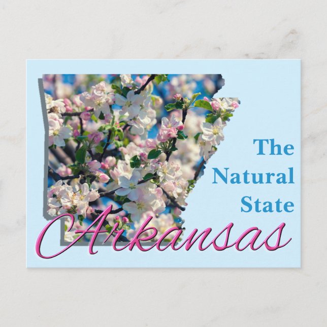 Postal Postcard - ARKANSAS (Anverso)