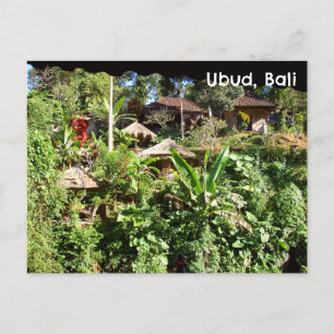 Postal Postcard Bali Indonesia Plantas Tropicales Huts de