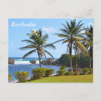 Postal Postcard, Barbados, Beach Scene, Palm Trees