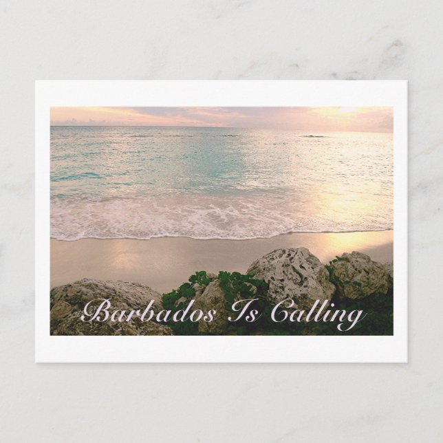 POSTAL POSTCARD/"BARBADOS ESTÁ LLAMANDO"/COLORES BLANDOS  (Anverso)