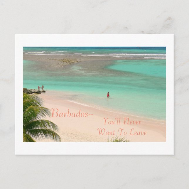 POSTAL POSTCARD, BARBADOS - ¡NUNCA QUIERES SALIR! (Anverso)