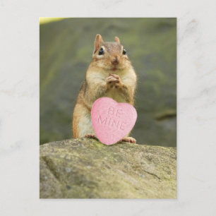 Postal Postcard Be Mine Little Chipmunk
