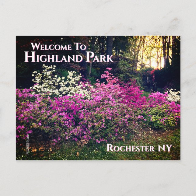 Postal Postcard - Bienvenidos al Highland Park Rochester  (Anverso)