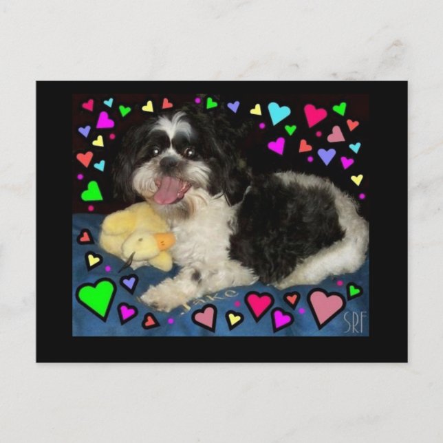 Postal Postcard "Big Jake" (Anverso)