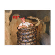 Postcard Big Snake QLD Australia