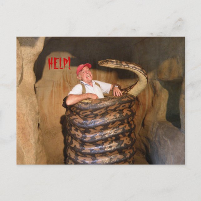 Postal Postcard Big Snake QLD Australia (Anverso)