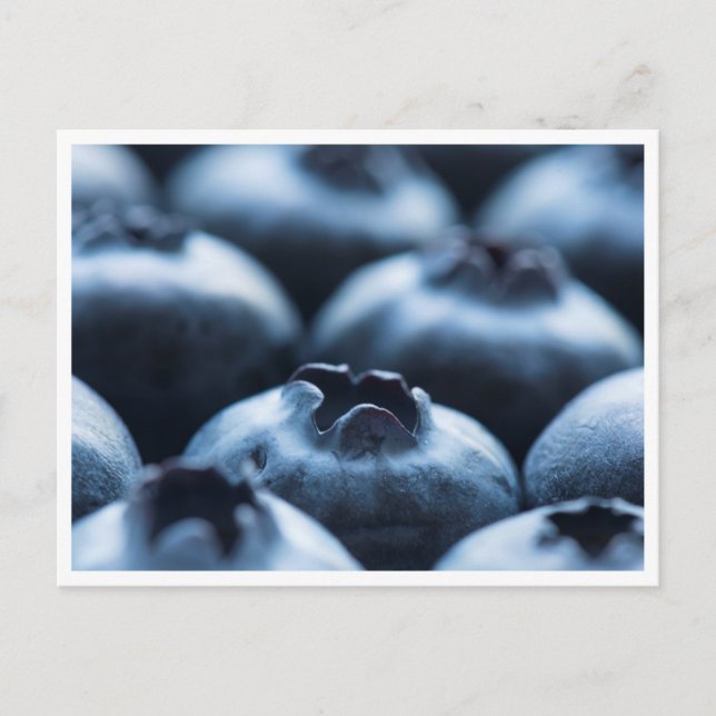 Postal Postcard - Blueberries (Anverso)