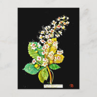 Postcard-Botanical Art-Mary Delany 11