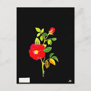 Postal Postcard-Botanical Art-Mary Delany 16