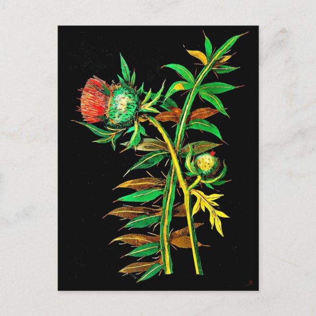 Postal Postcard-Botanical Art-Mary Delany 6 (Anverso)