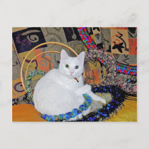 Postal Postcard cercada por la serenidad