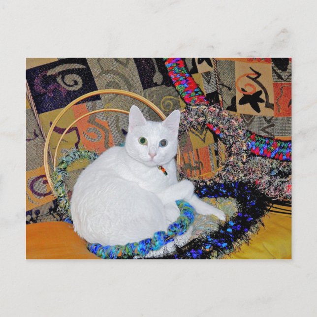 Postal Postcard cercada por la serenidad (Anverso)