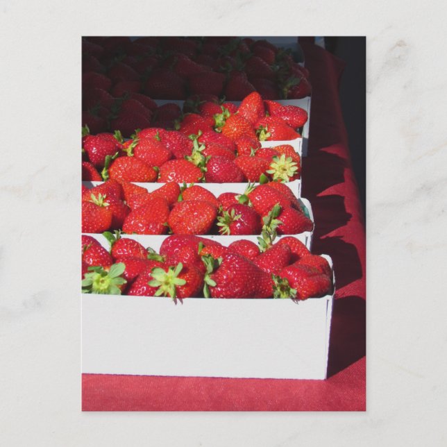 Postal Postcard - Cestas de arándanos (vrt) (Anverso)