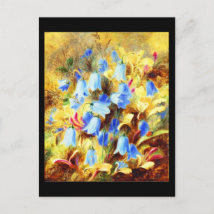 Postal Postcard-Classic/Vintage-Albert Durer Lucas 14