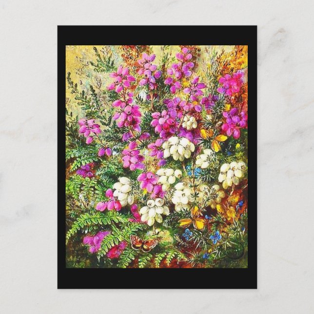 Postal Postcard-Classic/Vintage-Albert Durer Lucas 5 (Anverso)