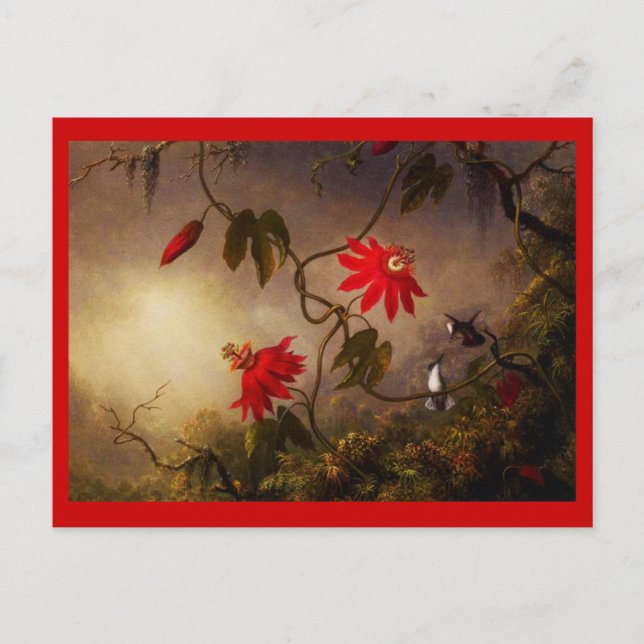 Postal Postcard-Classic/Vintage-Martin Johnson Heade 21 (Anverso)