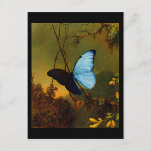 Postal Postcard-Classic/Vintage-Martin Johnson Heade 3