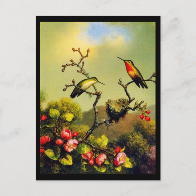 Postal Postcard-Classic/Vintage-Martin Johnson Heade 5 (Anverso)