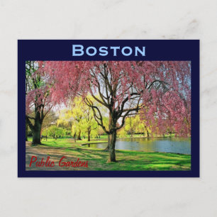 Postal Postcard común de Boston - Personalizado