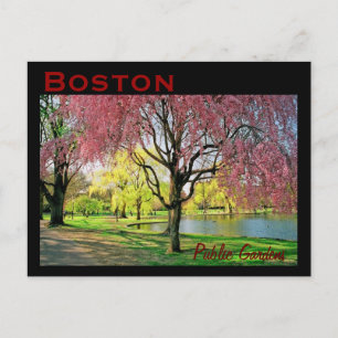 Postal Postcard común de Boston - Personalizado