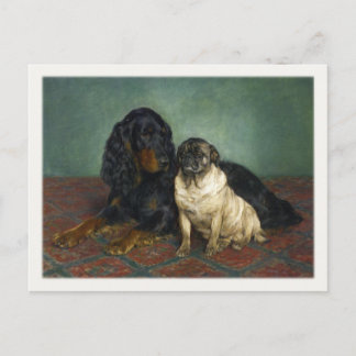 Postal Postcard Con Perros Cubiertos Pintados