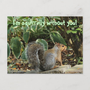 Postal Postcard cuando alguien se pierde