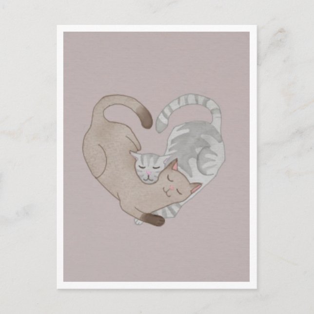 Postal Postcard - Cute Cat (Anverso)